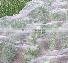 tessuto non tessuto per l'agricoltura e giardino