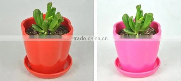 Wholesale cheap small colorful plastic plant saucer