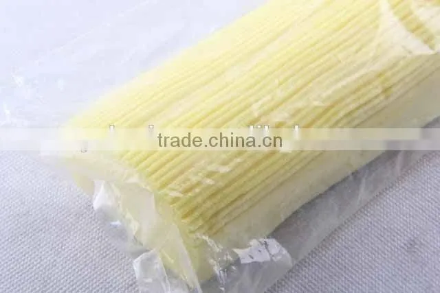 PVA sponge mop head