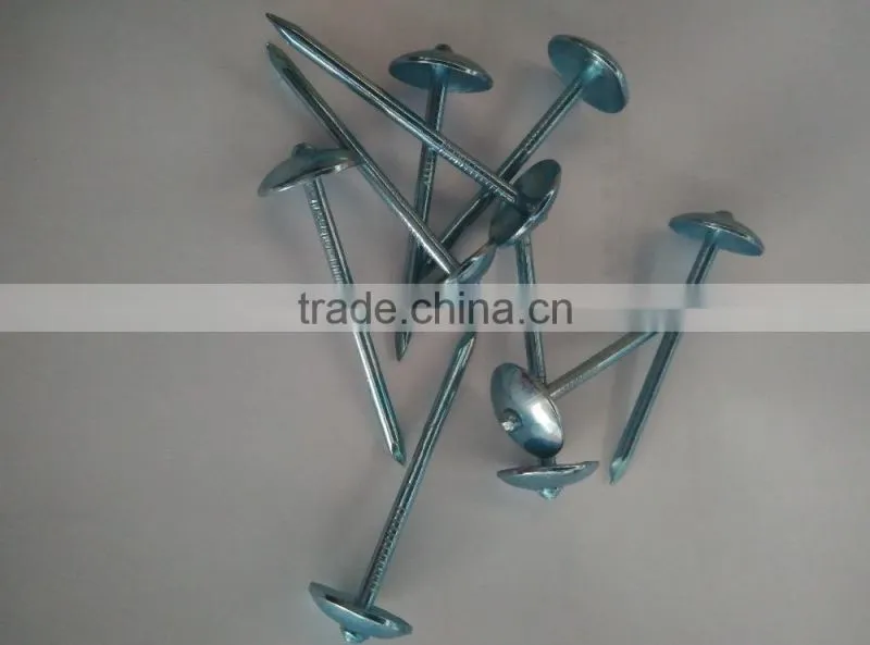blue galvanized roofing nails to Indonesia