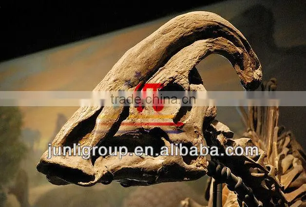 Lisaurus-J dinosaur skulls for exhibitions/amusement parks