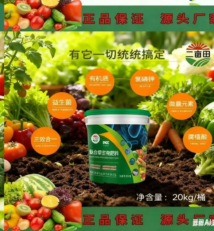 微信图片_20251217112951_77_10