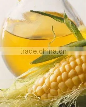 2-3t/day Small Oil Press Machine