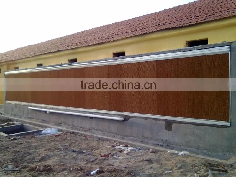 hot sale birdsitter hot dip galvanized chicken farming poultry feeding system