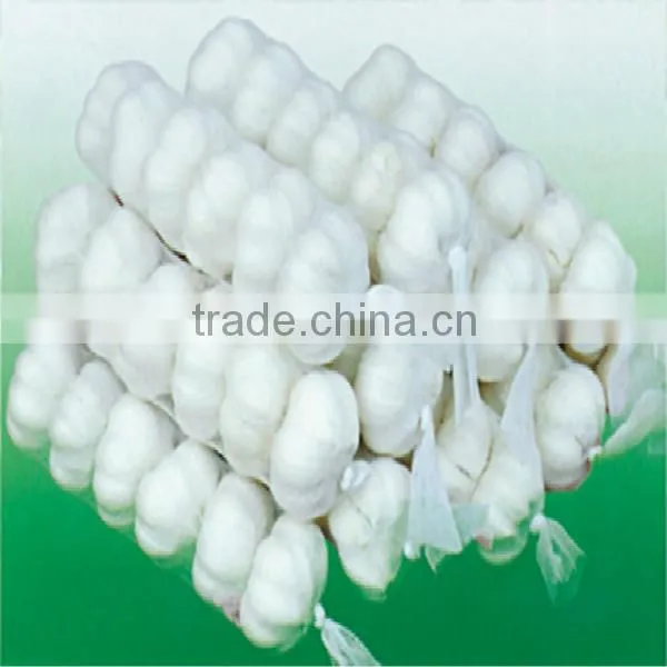 hot sale 2015 high quality fresh garlic
