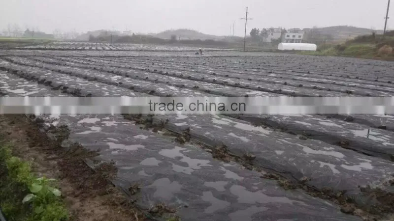 china manufacture offer thin plastic mulch film/agricultural plastic clear mulch film