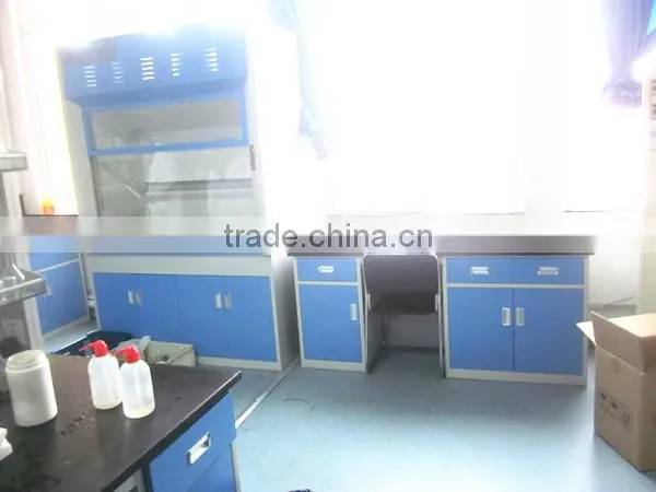 Lab fume hood with flue pipe