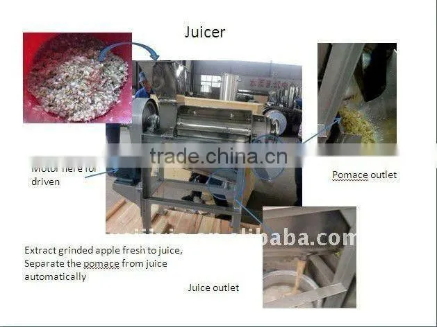 LZ factory direct sale spiral fruit juice machine