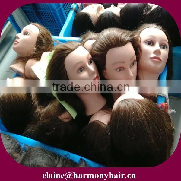 HARMONY afro training mannequin head