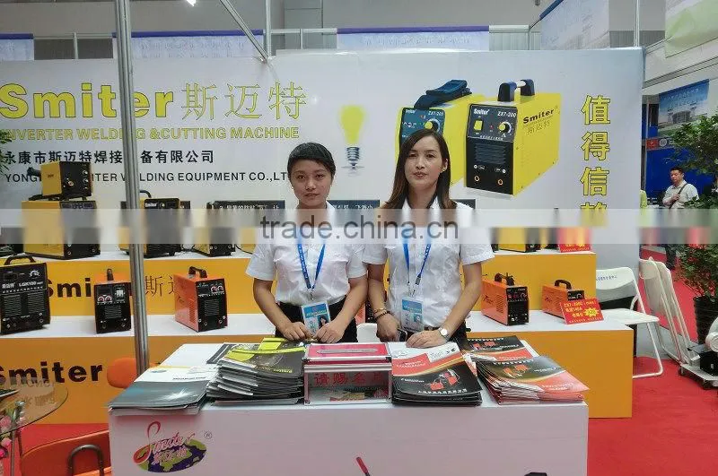 Portable DC Inverter IGBT ARC Machine ARC 250 MMA Welding