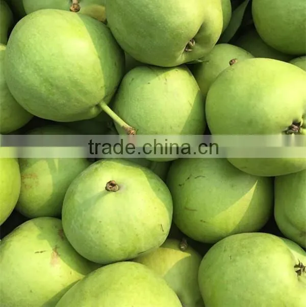 2015 new crop fresh su pear with good quality White pears fresh juicy pears