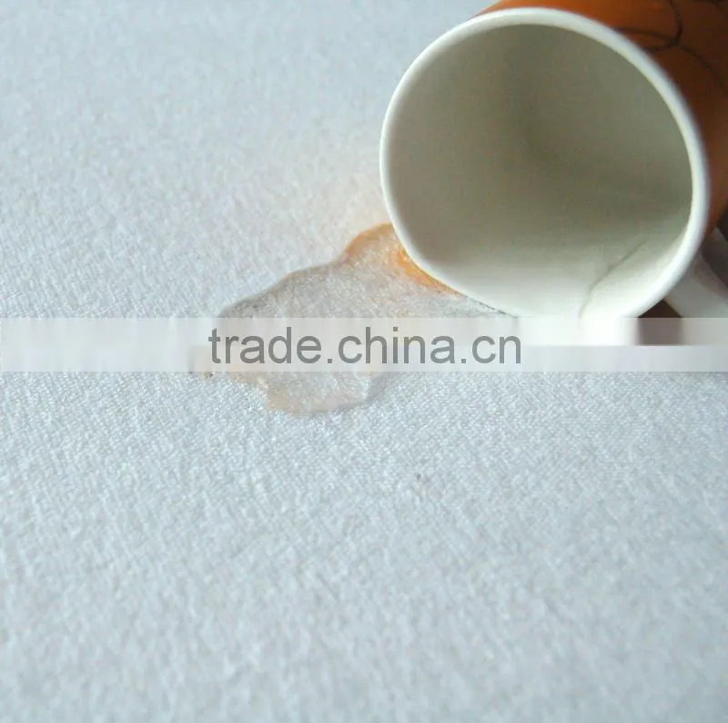 High Quality Terry Cloth Waterproof Mattress Protector