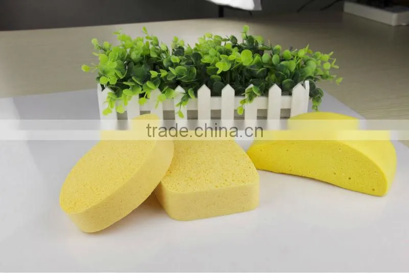Car Sponge