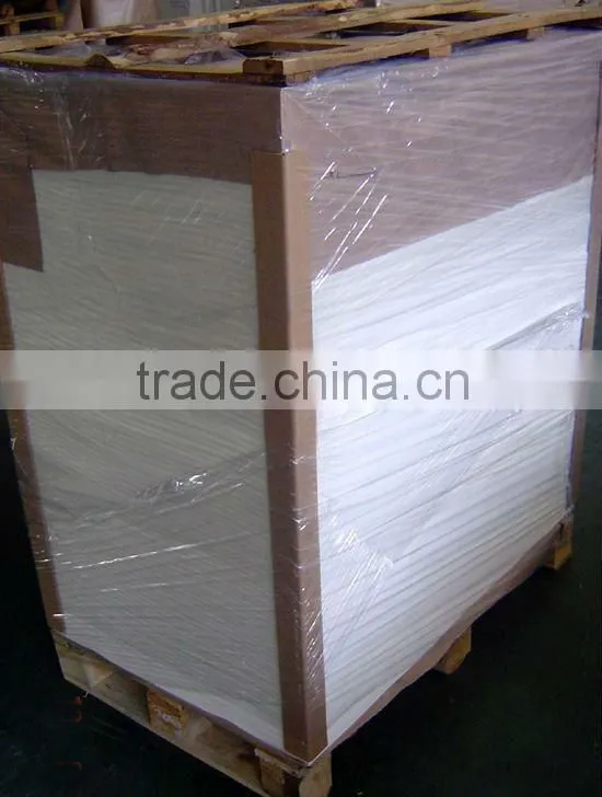 PE Coated Paper Cup Paper