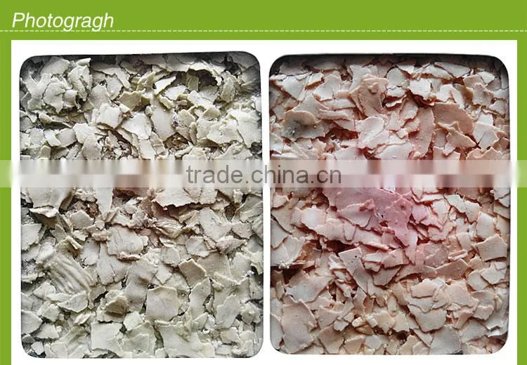 Fast drying flake paint for building coating