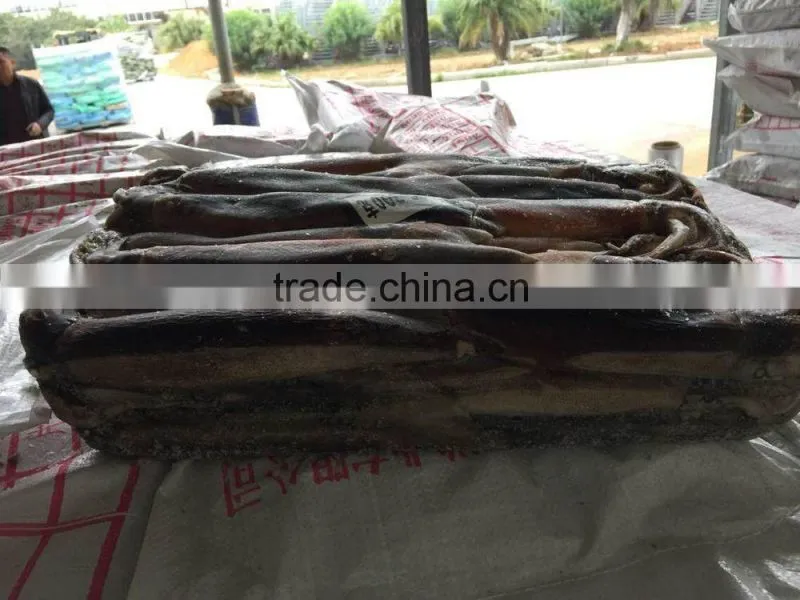 2016 high quality frozen illex squid 200-300g for sale