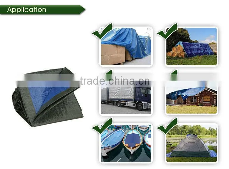 blue white pe tarpaulin good sale in africa waterproof sun resist