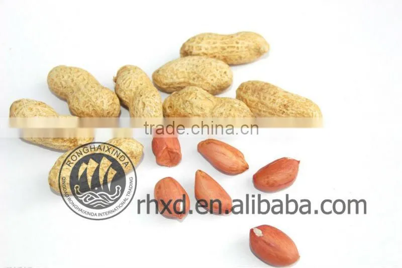 Roasted peanut in shells