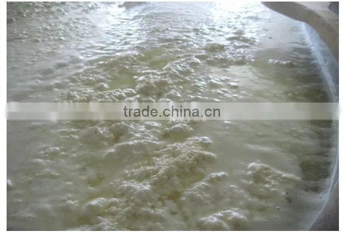 Cheese processing Machinery