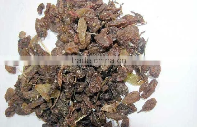 INDUSTRIAL RAISIN FOR VINEGAR & WINE