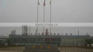 Hebei Golden Sunbird Trading Co., Ltd. company overview - view 2