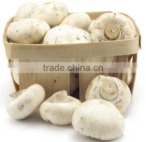 to cook canned whole button mushroom brands