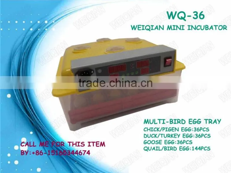 144 quail egg mini hatchery price in UK WQ-36