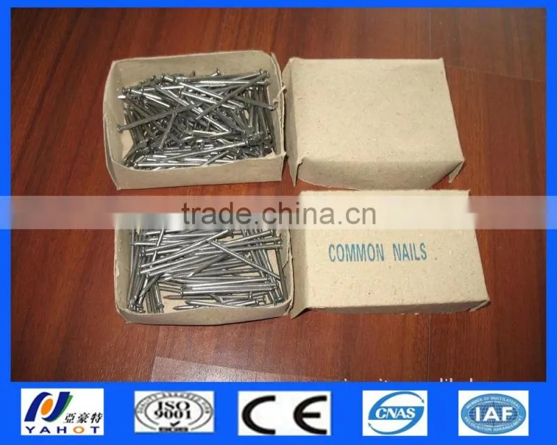 Galvanized Polished Common Nails