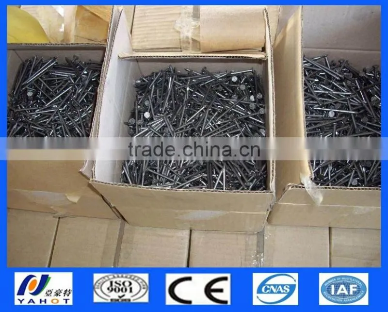 Galvanized Polished Common Nails