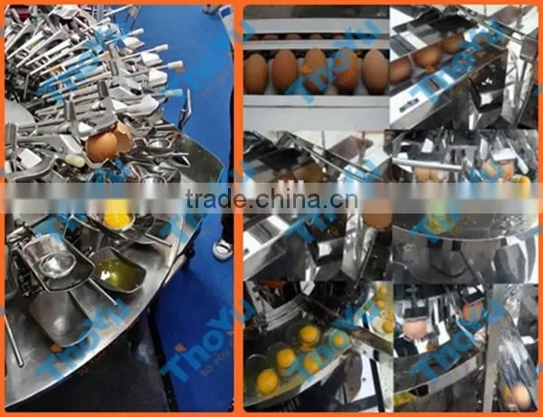 Salable High efficiency Big capacity Stainless steel Egg yolk and protein separating machine made in China