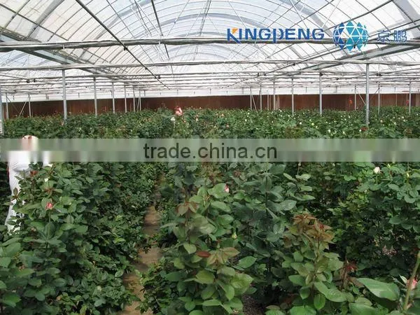 Plastic Film Greenhouse for Agriculture