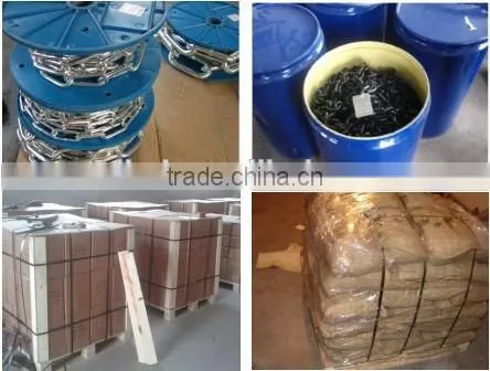 Link Metal electric-galvanized Din763 ink chain