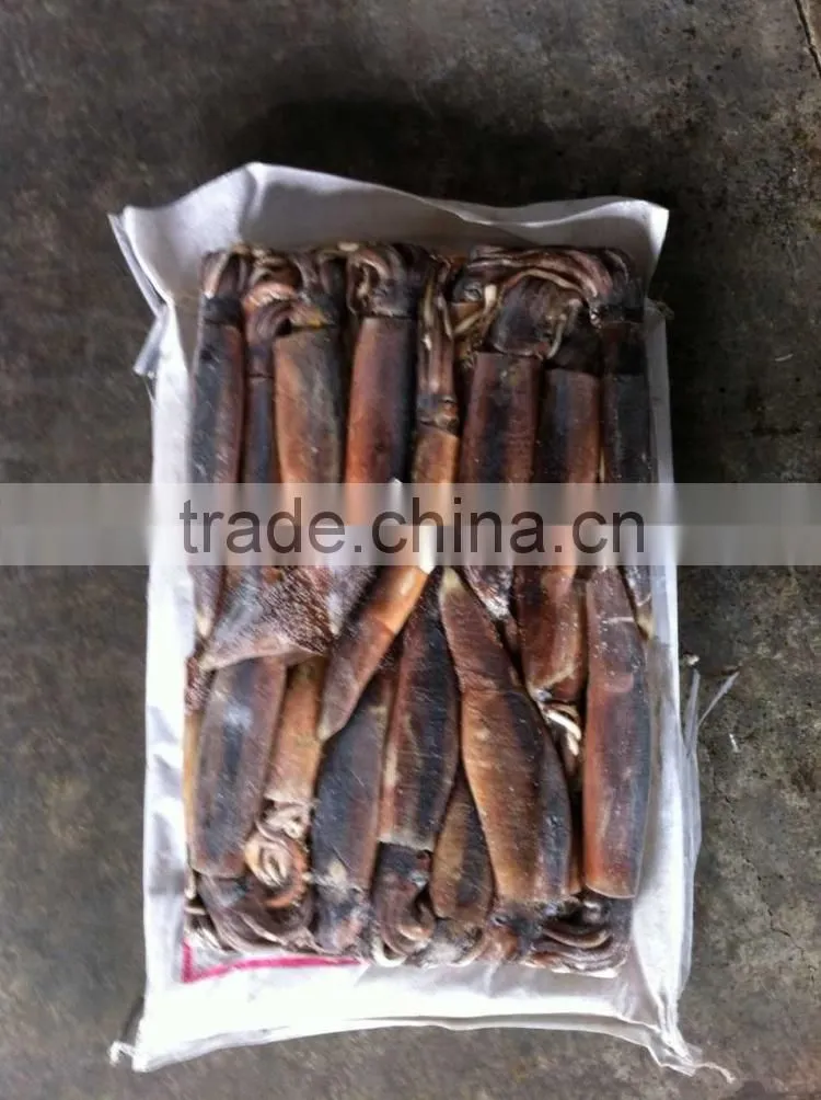 Whole round frozen squid argentina illex squid jigger catch wholesale