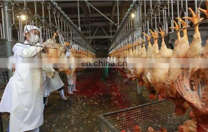 Halal Chicken Slaughter Machine Line/Poultry Slaughter Machine