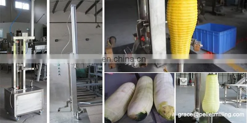 WS-130FP industrial melon fruit mango papaya peeling machine
