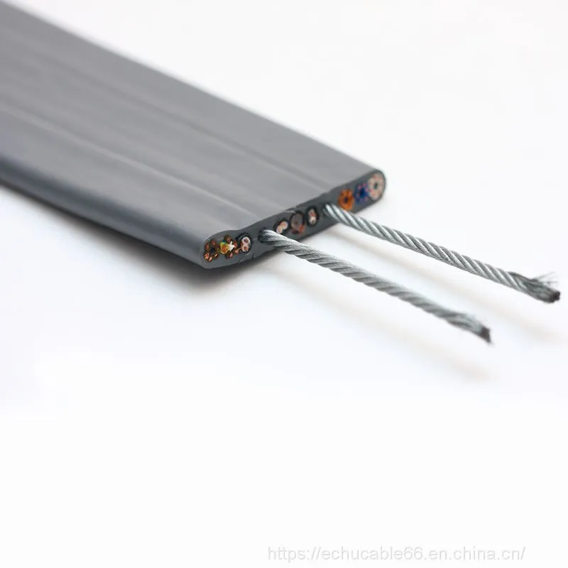 DPP_073(1)