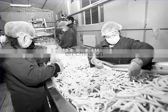 high quality frozen french fries chips making machine processing line plants