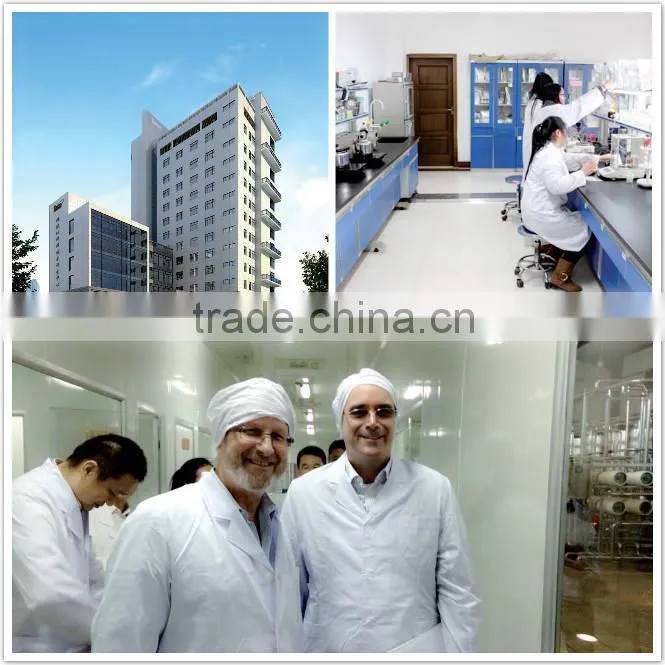 Instant Jujube Extract Powder
