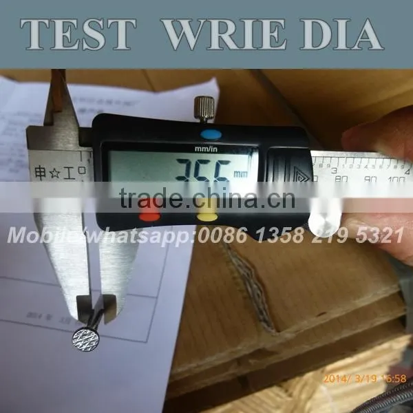 common wire nails supplier from China special for yemen market