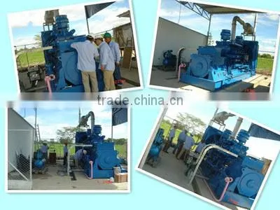 Professional OEM 500kw natural gas genset for sale