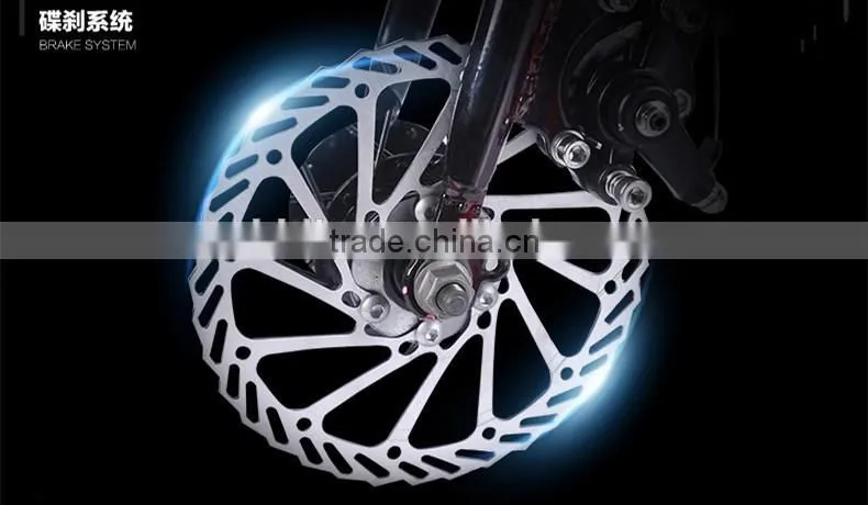 Adult Steel Road Bike /Racing Bike with double brake