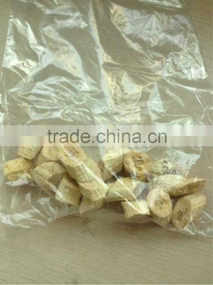 ZG-1Vacuum mini Freeze Dryer