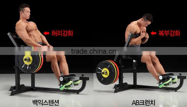 AB & Back Machine / Gym Equipment/ Rack