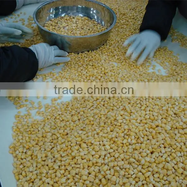 Frozen Iqf Sweet Corn Kernels
