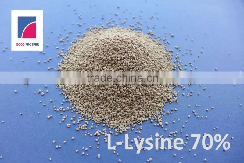 Good Prosper Supply L Lysine Sulphate 70%/ Lysine price