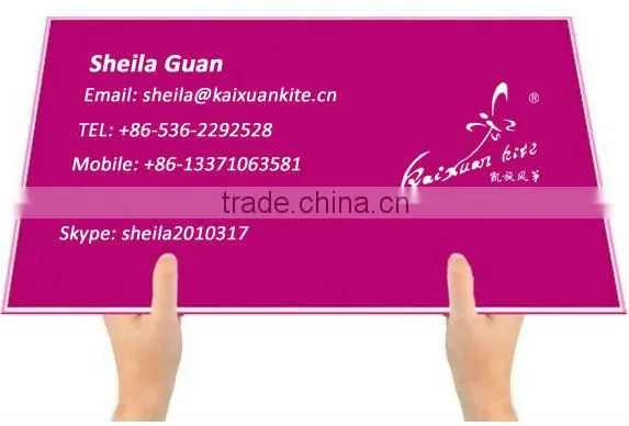 Customized Large Windsock Kite from Chinese Factory