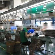 Shenzhen Lepu Lighting Technology Co., Ltd. company overview - view 3