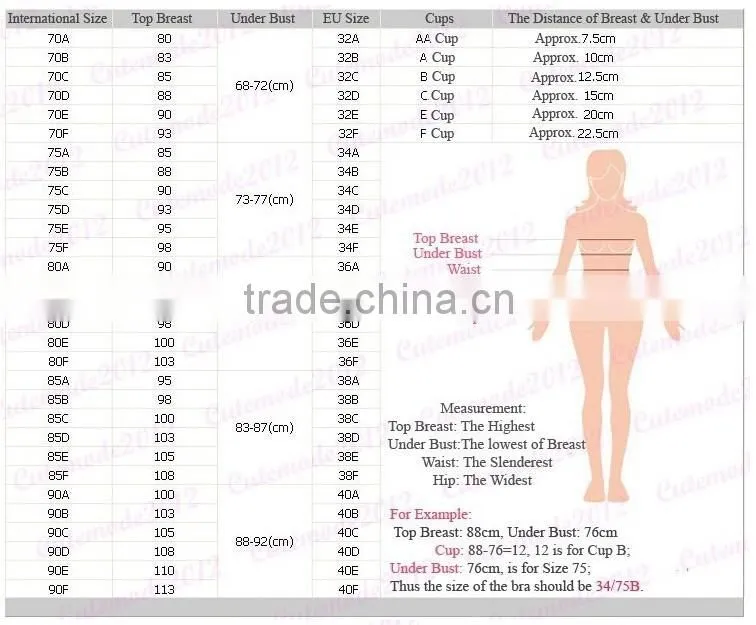 Big C Cup Summer Style Slim Lace Molded Cup Bra Sexy Young Women Underwear Thin Breathable Comfort Bras