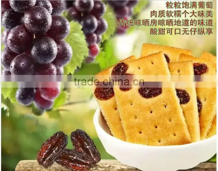 EDO Pack Grape Flavor Digital Shape Biscuits