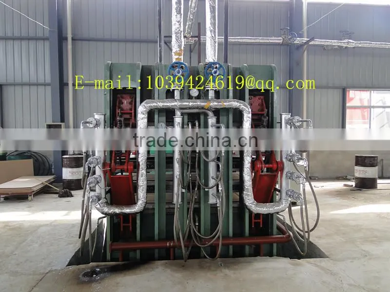 Wooden molded door hot press for door skin